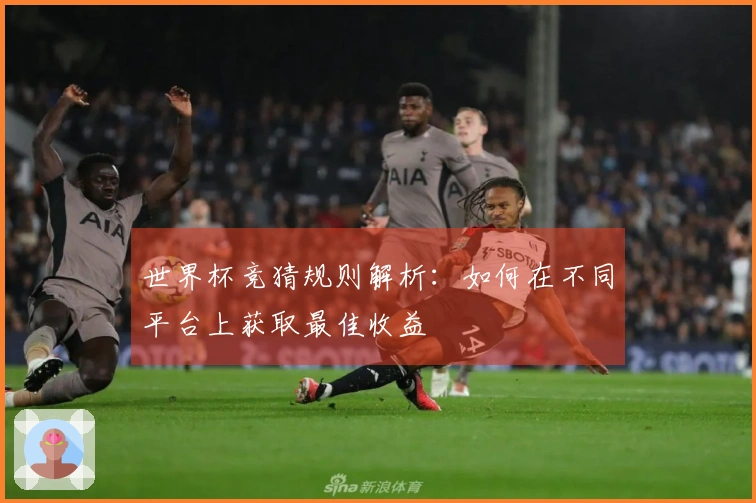 世界杯竞猜规则解析：如何在不同平台上获取最佳收益