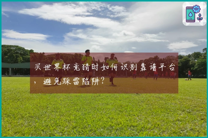 买世界杯竞猜时如何识别靠谱平台，避免踩雷陷阱？