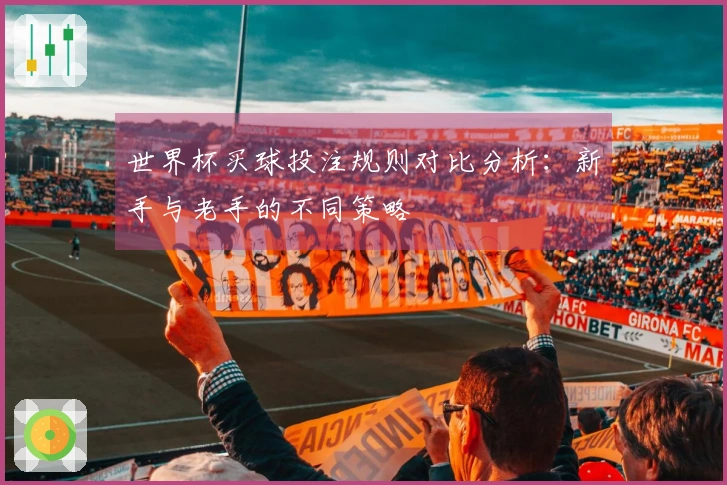 世界杯买球投注规则对比分析：新手与老手的不同策略